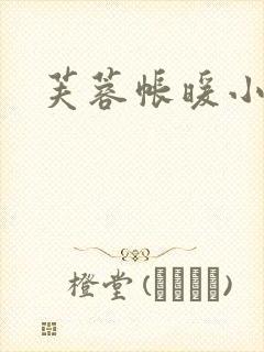 芙蓉帐暖小说