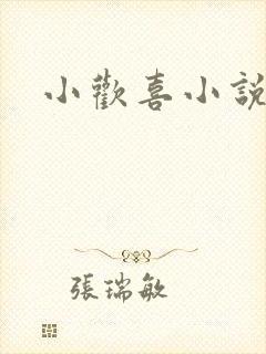 小欢喜小说
