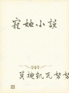 宠她小说