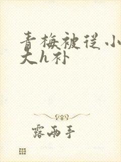 青梅被从小摸到大h补