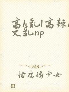 高h乱l高辣h文乱np