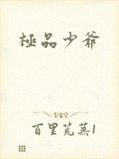 极品少爷