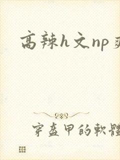 高辣h文np爽