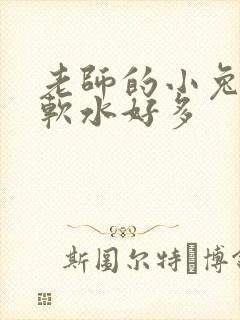 老师的小兔子好软水好多
