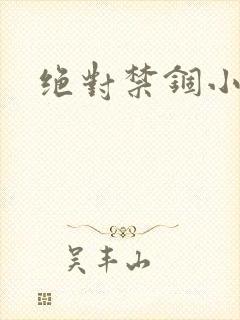 绝对禁锢小说