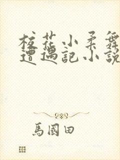 校花小柔舞蹈室遭遇记小说