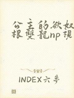 公主的欲奴h四根双龙np视频