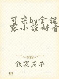 可宋by金银花露小说好看吗