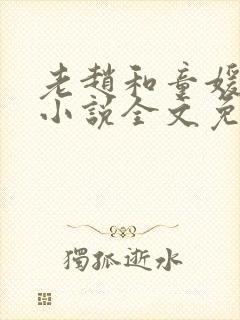 老赵和童媛媛的小说全文免费阅读