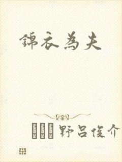 锦衣为夫封面