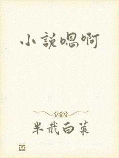 小说嗯啊