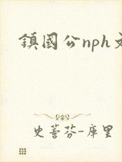 镇国公nph文封面