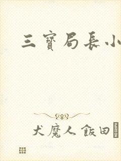 三宝局长小说