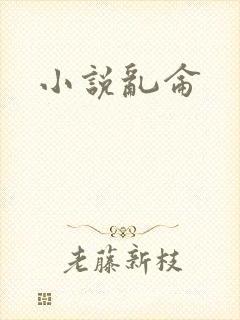 小说乱仑封面