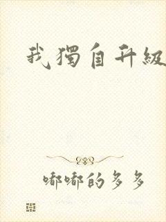 我独自升级小说