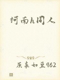 柯南h同人