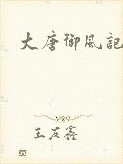 大唐御风记