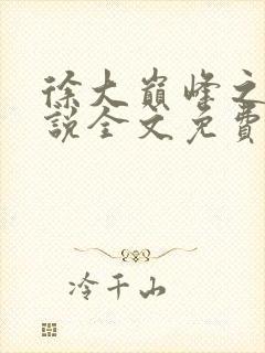 徐大巅峰之路小说全文免费阅读