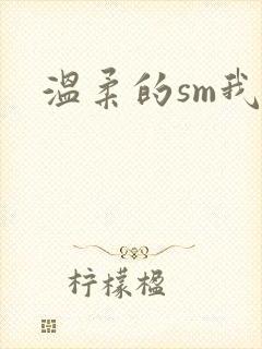 温柔的sm我