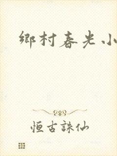 乡村春光小说