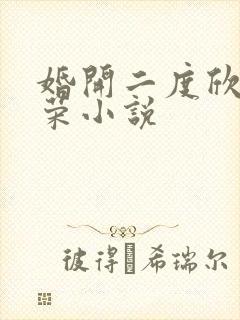 婚开二度欣欣向荣小说