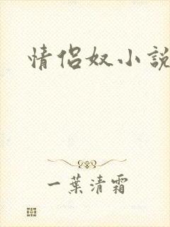 情侣奴小说