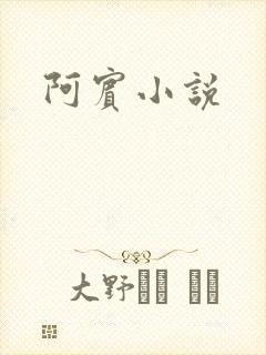 阿宾小说