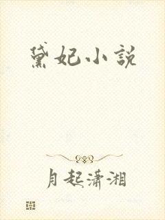 黛妃小说