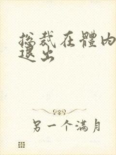 总裁在体内不肯退出封面