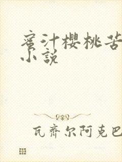 蜜汁樱桃苦咖啡小说