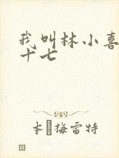 我叫林小喜今年十七