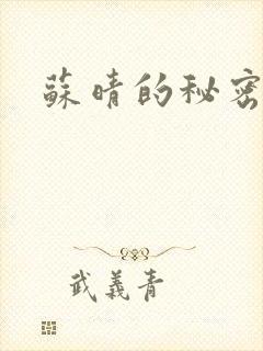 苏晴的秘密小说