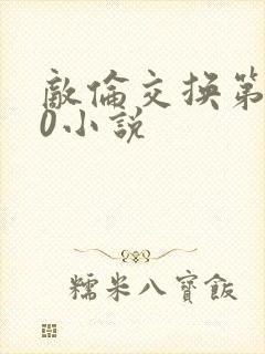 敌伦交换第150小说封面