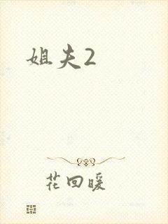 姐夫2