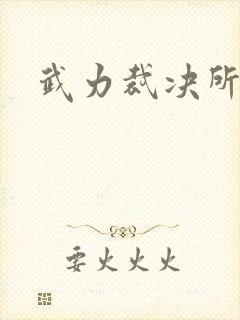 武力裁决所