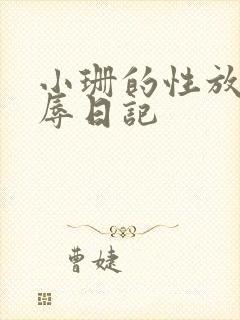 小珊的性放荡羞辱日记封面