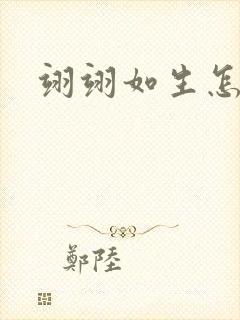 翊翊如生怎么读封面
