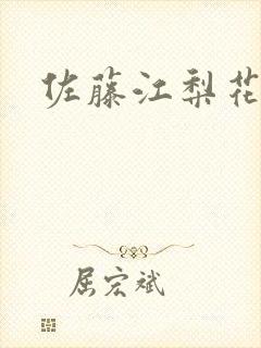 佐藤江梨花封面