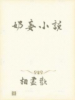 奶妾小说