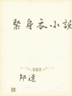 紧身衣小说
