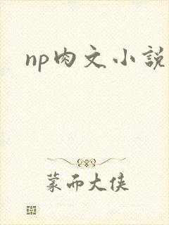 np肉文小说