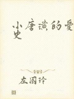 小唐璜的爱情历史