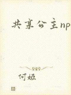共享公主npc封面
