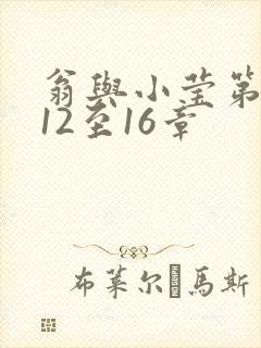 翁与小莹第十部12至16章