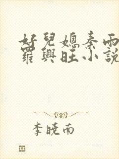 好儿媳秦雨罗明罗兴旺小说