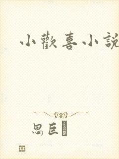 小欢喜小说