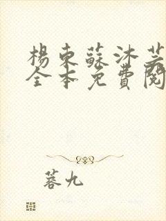 杨东苏沐芸小说全本免费阅读下载封面