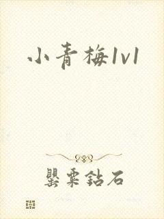 小青梅1v1