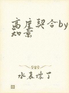 高度契合by洛知意