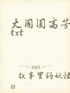 大团圆高芳小说txt